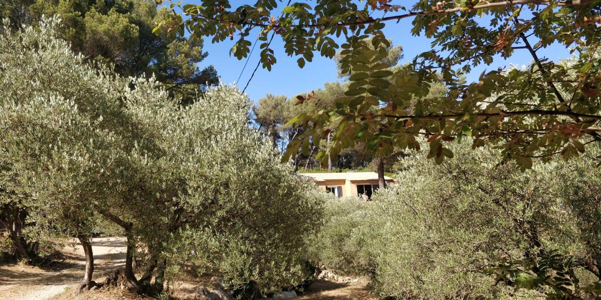 Villa Cigalons En Pleine Pinede Avec Piscine Chauffee De Mai A Septembre Auriol Exterior foto