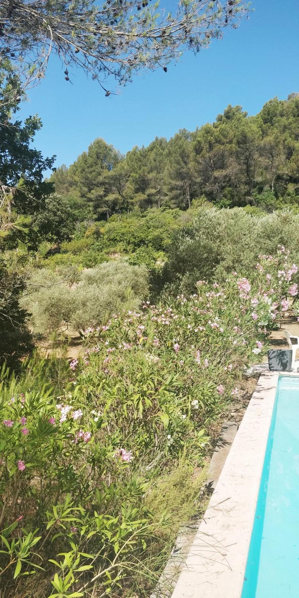 Villa Cigalons En Pleine Pinede Avec Piscine Chauffee De Mai A Septembre Auriol Exterior foto